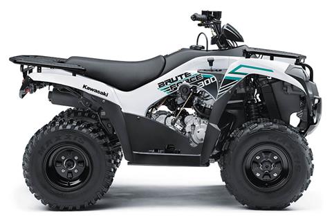 2022 Kawasaki Brute Force 300