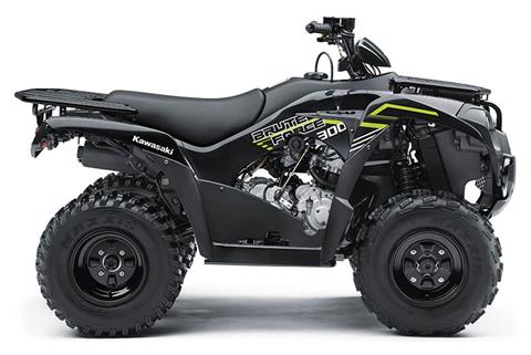 2022 Kawasaki Brute Force 300