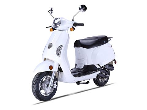 2019 Wolf Brand Scooters Wolf Lucky in Junction City, Kansas